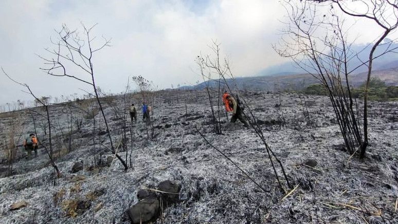 Pendakian Gunung Arjuno Ditutup Akibat Kebakaran Hutan, 65 Personel Gabungan Diturunkan
