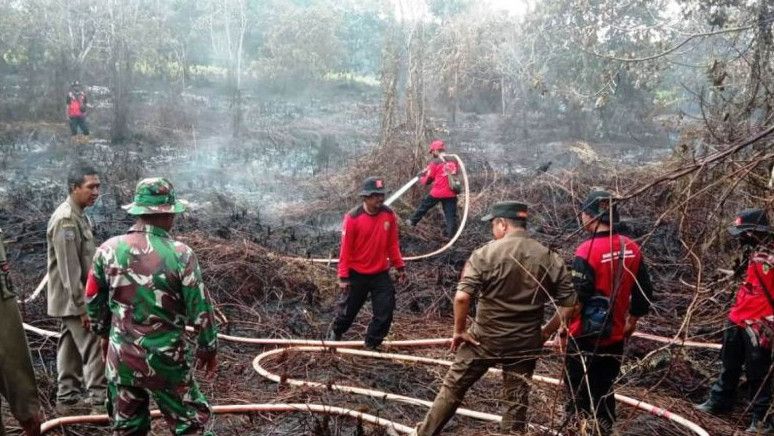 Jumlah Titik Panas di Kalimantan Timur Turun dari 132 Jadi 79