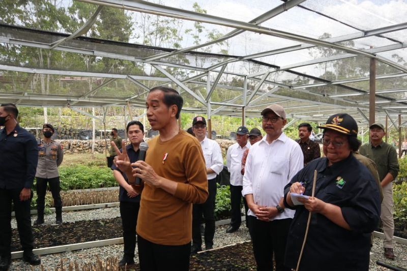 Jokowi Sebut Persemaian Mentawir di IKN untuk Reboisasi Seluruh Kalimantan: Nanti Ditambah Pohon Buah untuk Datangkan Satwa Kembali