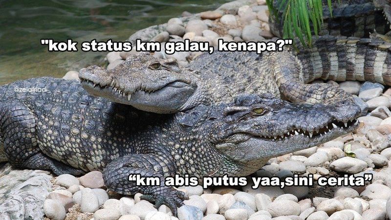 Buaya Putih Adalah