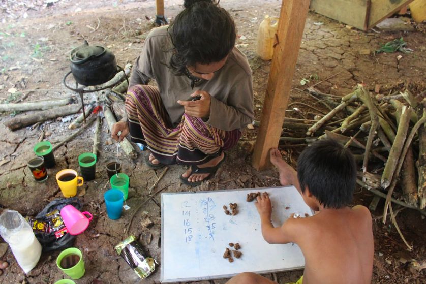 Dorong Literasi di Kalangan Masyarakat Adat, Sokola Institute Raih Penghargaan UNESCO