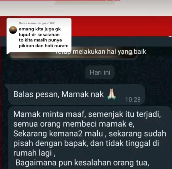 Isi chat ibu Norma Risma (Foto: TikTok/@akungosipterkini)