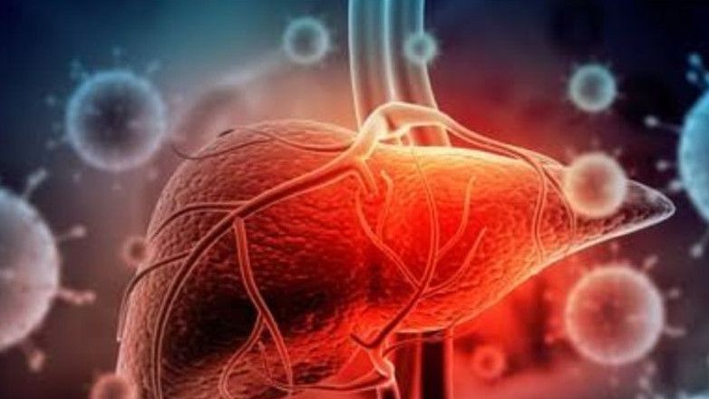 Heboh Isu Vaksin Covid-19 Penyebab Hepatitis Misterius, IDI: Tidak Didukung Data