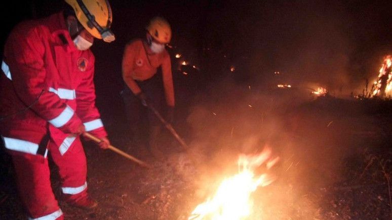 Petugas Gabungan Padamkan Karhutla di Lereng Gunung Raung Jember, Luas yang Terdampak Sekitar 20 Hektare