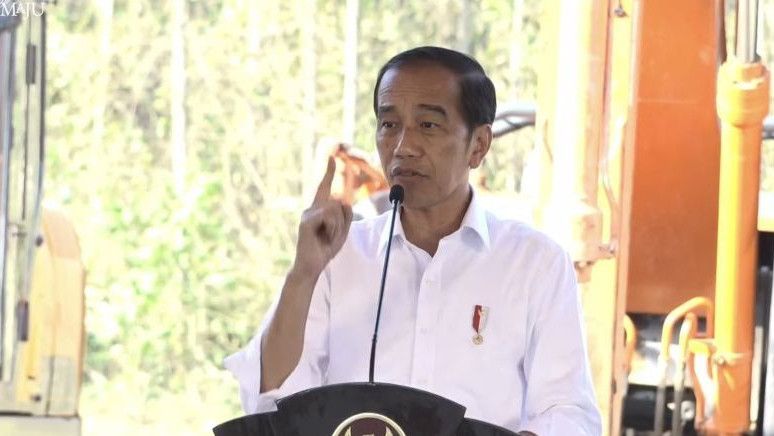 Jokowi Kebut Kesiapan Tanah di IKN: Kita 