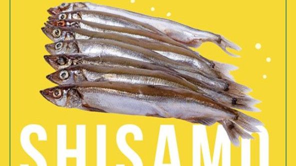 Berbagai Fakta Ikan Shisamo dan Manfaatnya untuk Kesehatan