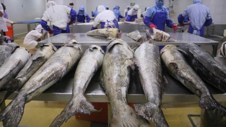 China Temukan Virus Corona di Produk Perikanan dari Indonesia