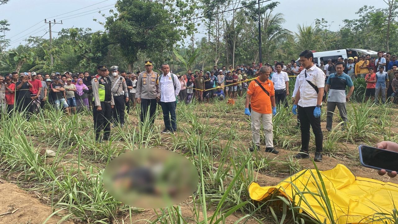 Gara-Gara Senggolan Motor, Pria di Lumajang Bacok Lawan hingga Tewas di Kebun Tebu