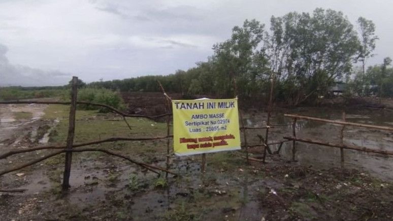 Heboh Kavling Hutan Mangrove di Maros, Polda Sulsel Selidiki