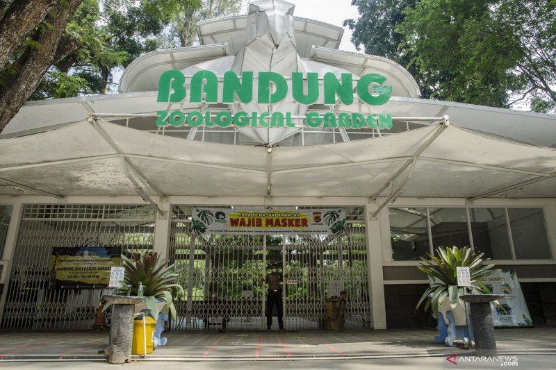 Kebun Binatang Bandung Galang Sumbangan untuk Pakan 850 Satwa