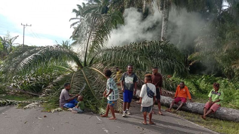 Beredar Kabar Kematian Gubernur Papua Barat Usai DIvaksin Berujung Aksi Blokade Jalan, Bupati Manokwari: Hoaks!