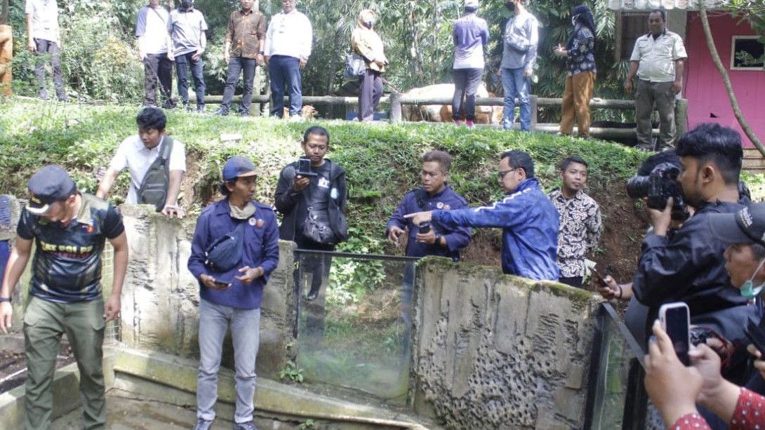 Bima Arya dan BKSDA Dalami Temuan Hewan Dilindungi di Bogor Mini Zoo, Ada Berang-berang Malah Ditemukan di Gudang, Bukan Kandang