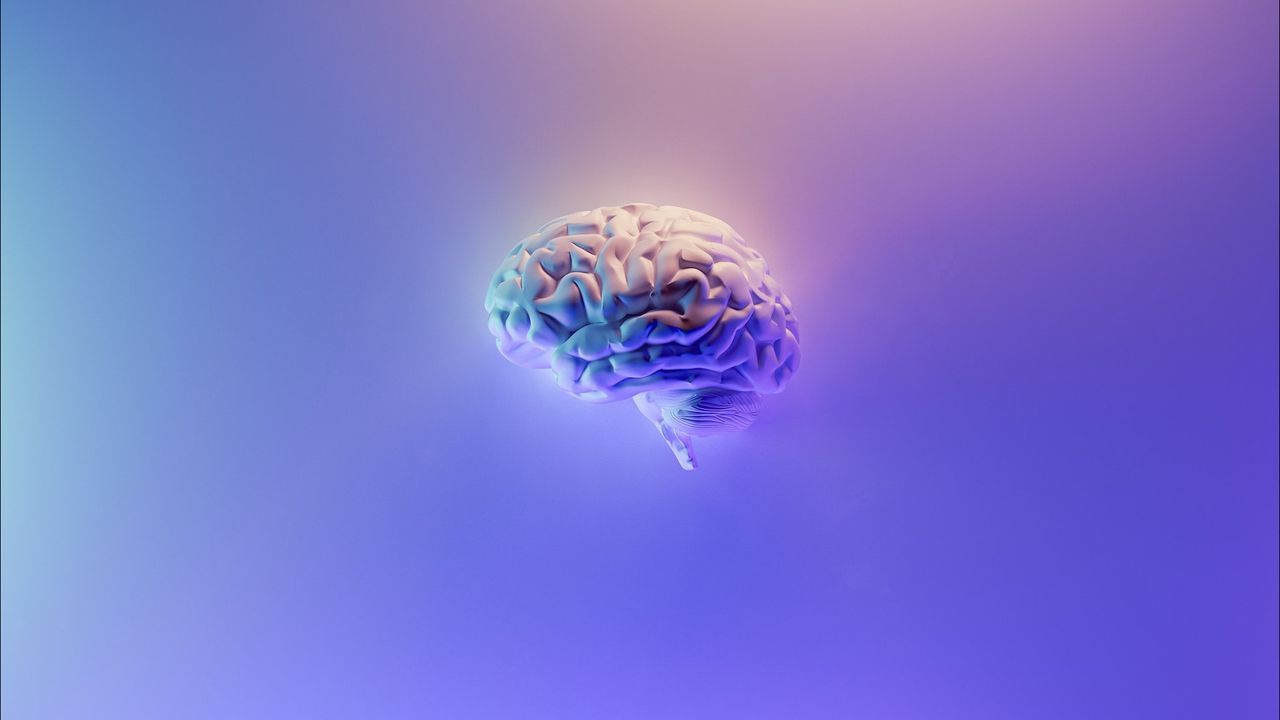 Apa Itu Mati Batang Otak dan Mengapa Dinyatakan Sudah Meninggal Secara Medis?