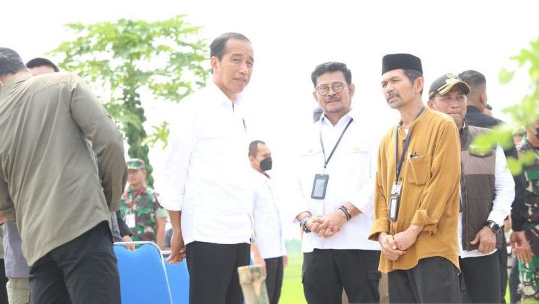 Perkuat Cadangan Beras Saat Musim Kering, Jokowi Terpaksa Impor Beras 2 Juta Ton