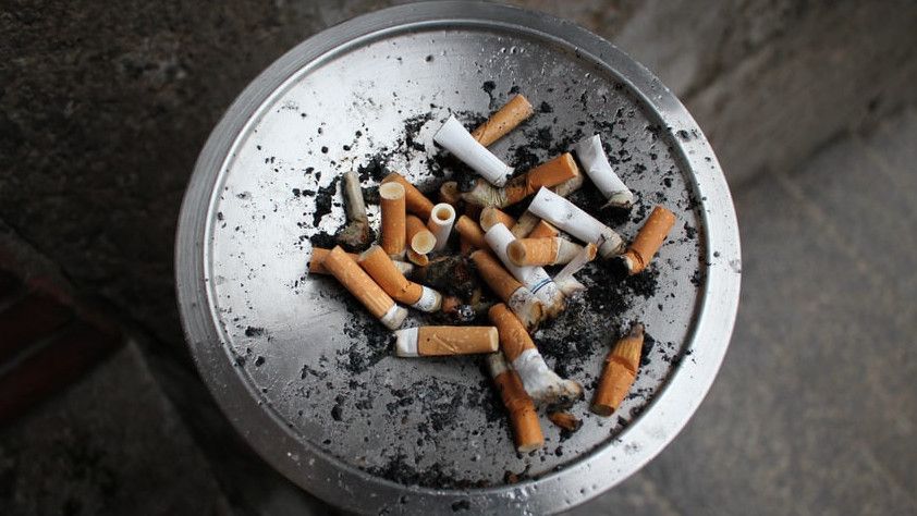 Menguak 5 Fakta Nikotin yang Selama Ini Dianggap Masalah Kesehatan dari Rokok