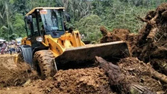 Polda Sultra Diminta Proses Hukum Pemilik Alat Berat yang Diduga Merusak Hutan Lindung di Konawe Utara