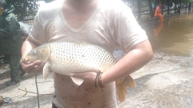 Serunya Aksi Bapak-Bapak Ini Menangkap Ikan Saat Jakarta Dihantam Banjir