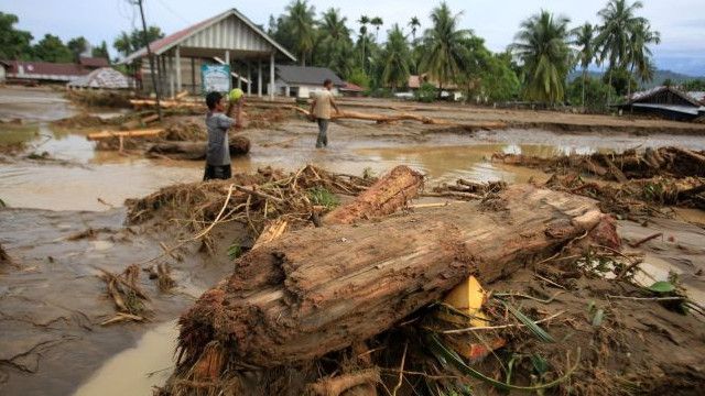Kok Banyak Kayu Gelondongan Hanyut dalam Banjir Aceh, Sumut, Sumbar?