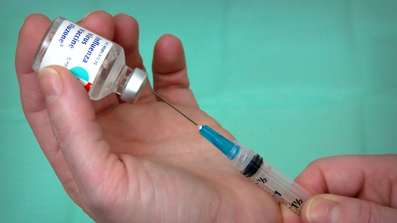 Singapura Stop Penggunaan 2 Vaksin Flu Asal Korsel dan Prancis