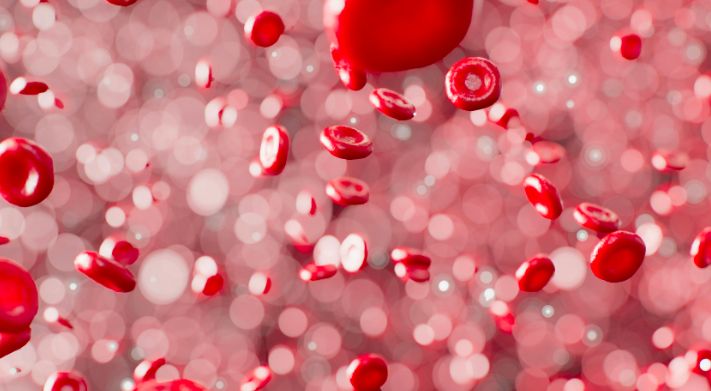 Ilustrasi sel darah merah
