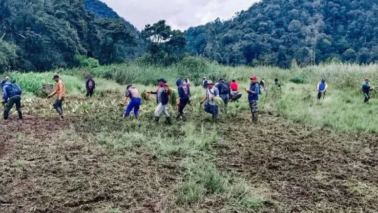 Imbas Rusaknya Kawasan Ranca Upas, Jalur Trail di Hutan Lembang Ditutup Sementara