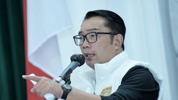 Imbau Arteria Dahlan Minta Maaf, Ridwan Kamil: Jadi Kalau Ada yang Rasis, Menurut Saya Diingatkan dengan Baik-baik Dulu