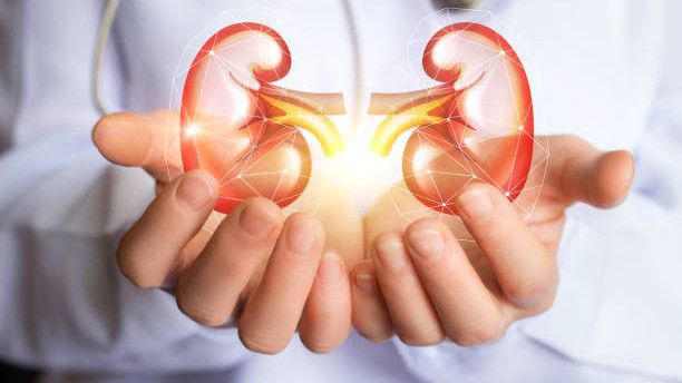 Penyakit Ginjal Kronik, Efektif Obati dengan Transplantasi atau Cuci Darah?