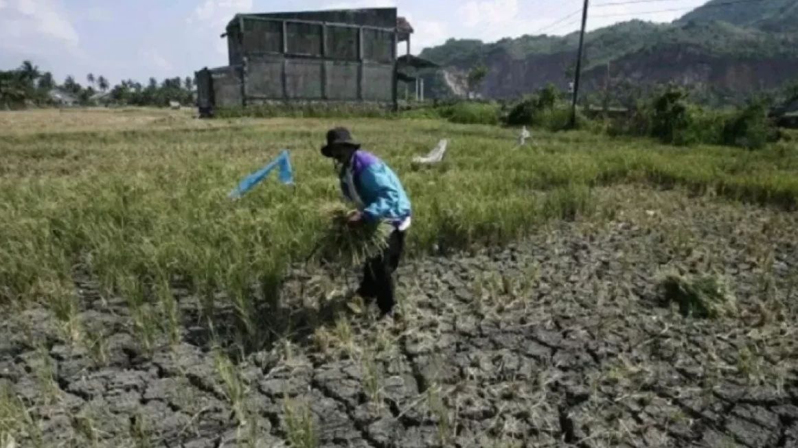 Masih Sering Hujan di Musim Kemarau, Ini Penjelasan BMKG