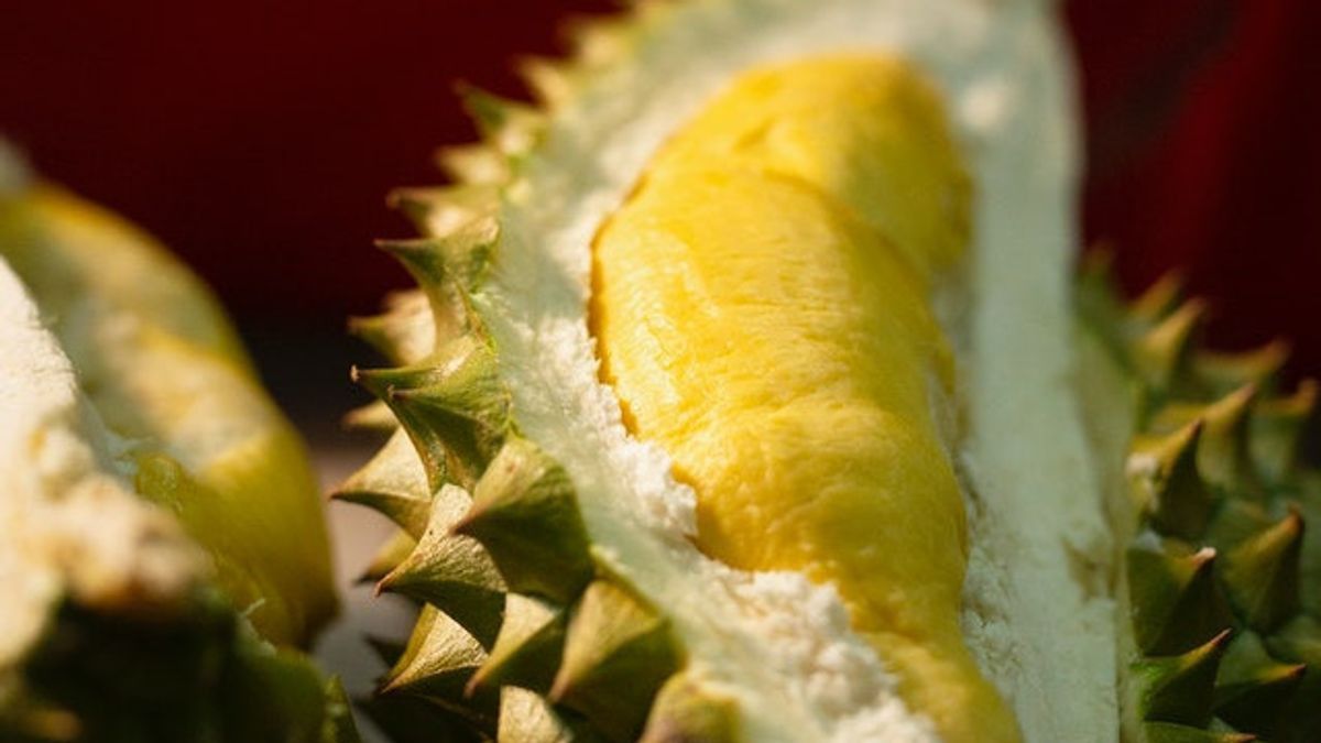 Cara Mengatasi Mabuk Durian, Tak Perlu Bingung, Simak di Sini