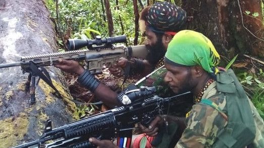 Dukung Usulan KSAD, Komnas HAM Papua: Merangkul KKB Pernah Dilakukan Sarwo Edhie Wibowo