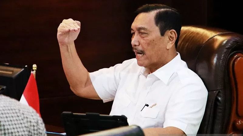 Begini Jejak Digital Ucapan Luhut Saat Pimpin PPKM Darutat: Dari Klaim COVID-19 Terkendali hingga Minta Maaf