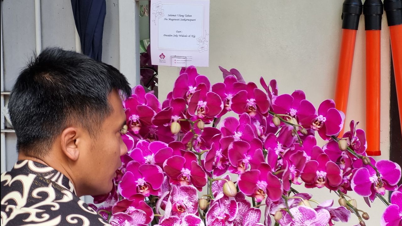 Megawati Ulang Tahun, Jokowi Kirim Buket Bunga Anggrek