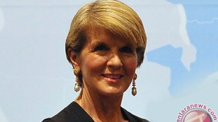 Julie Bishop, Mantan Menlu Australia Didapuk jadi Utusan PBB untuk Myanmar