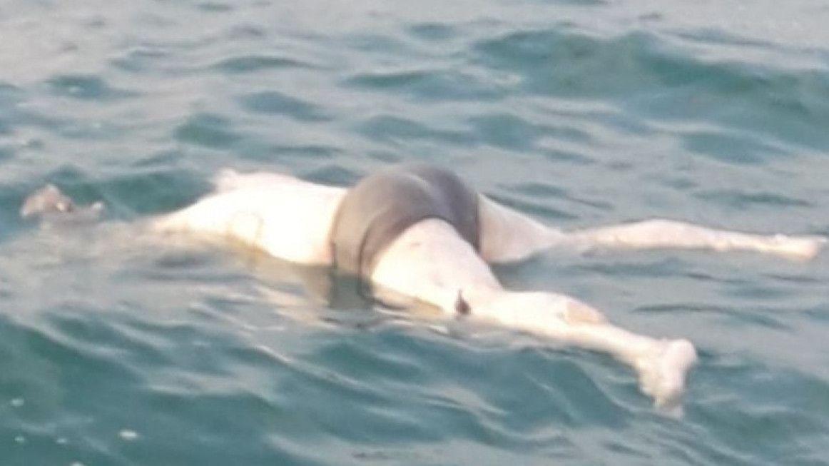 Geger Penemuan Mayat Tanpa Kepala di Kali Ciliwung Jaksel