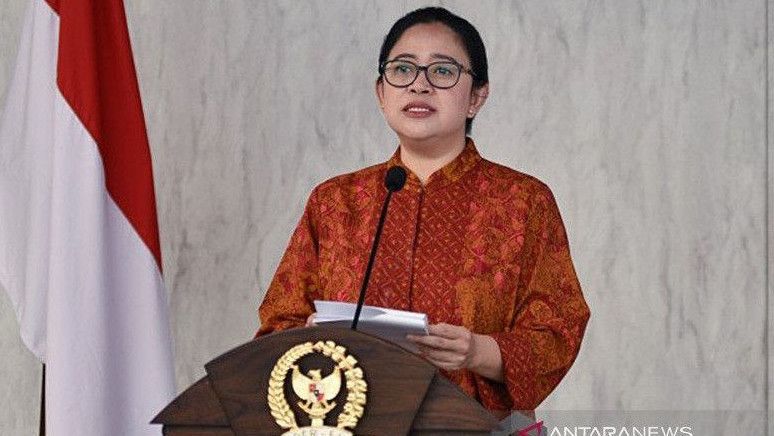 Soal Capres Pilihan Megawati, Puan: Yang Berdarah-darah untuk PDIP