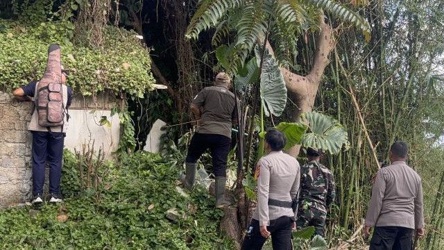 Geger! Macan Tutul di Lembang Park and Zoo Kabur, Humas: Diduga Stres