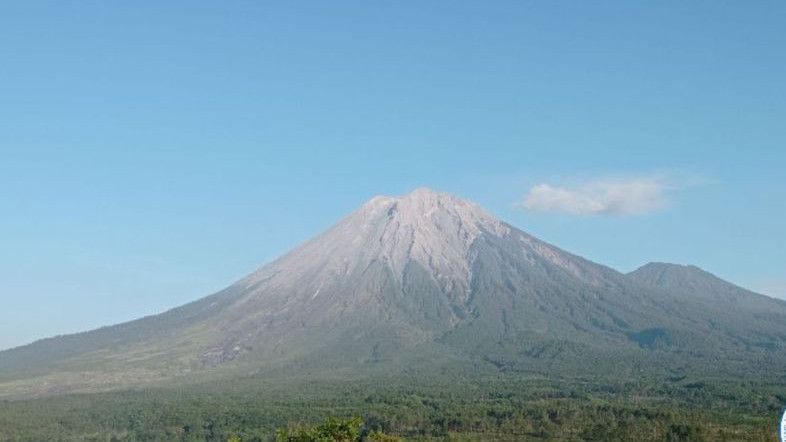 Situasi Terkini Gunung Semeru, Masih Berstatus Siaga hingga Alami Gempa Erupsi