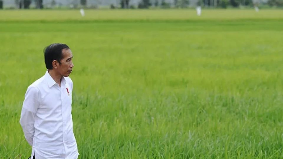 Pengamat: Prabowo Subianto Ingin Mengambil Sinarnya Namun Tak Ingin Terkena Panasnya Terkait Kedekatan dengan Jokowi