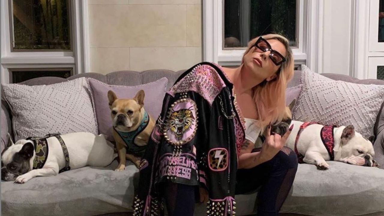 Curi Anjing Lady Gaga, Pelaku Penembakan Dogwalker Dihukum 21 Tahun Penjara