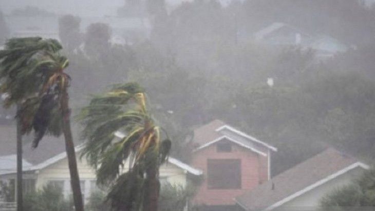 Waspada! Angin Kencang Landa Jabodetabek, Pohon Tumbang hingga Atap Rumah Terbawa Angin