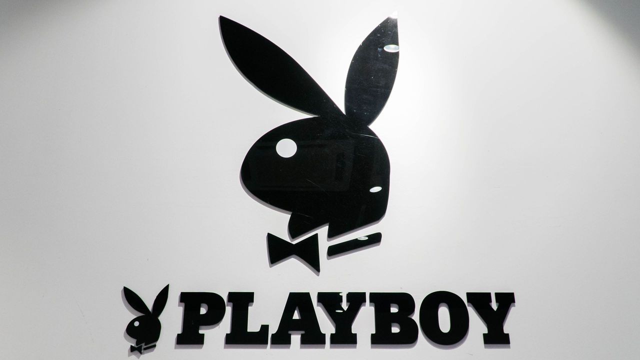 Alasan Kenapa Kelinci Jadi Simbol Playboy
