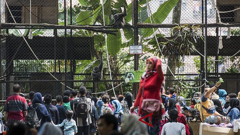 Pengunjung Kebun Binatang Bandung Membludak, Dinkes: Awas Jadi Klaster Keluarga