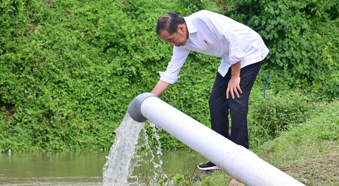 Jokowi Berharap Sulawesi Selatan Jadi Pemasok Beras hingga Sayuran ke IKN