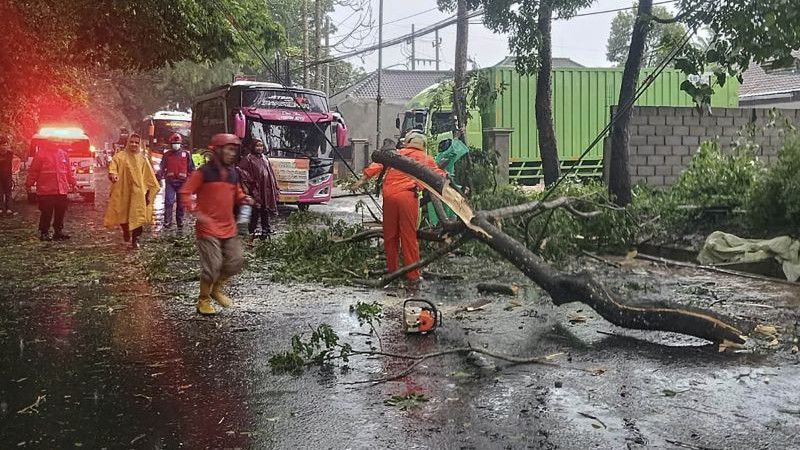 Seorang Kakek Tewas Tertimpa Pohon Tumbang Saat Hujan Angin Melanda Kota Malang