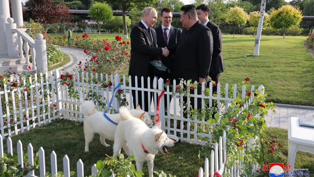 Dapat Mobil Limusin Aurus, Kim Jong Un Hadiahi Putin Sepasang Anjing Pungsan
