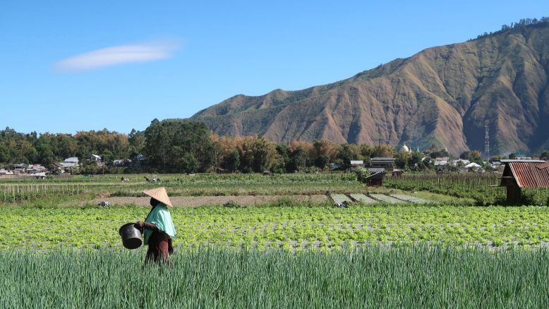 Usai Beras Oplosan, Giliran Pupuk Palsu Bikin Geger Pertanian