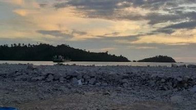 Pulau Penebang Kalbar Jadi PSN, Apa Alasannya?