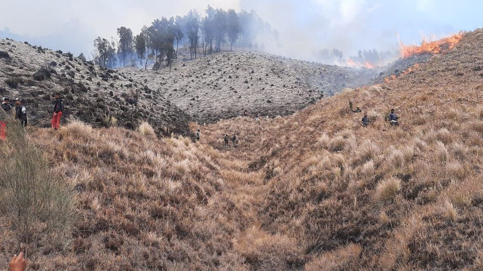 Tersangka Kebakaran Bromo Terancam Denda Rp1,5 Miliar, BNPB: Masih Mahalan Biaya Water Bombing!