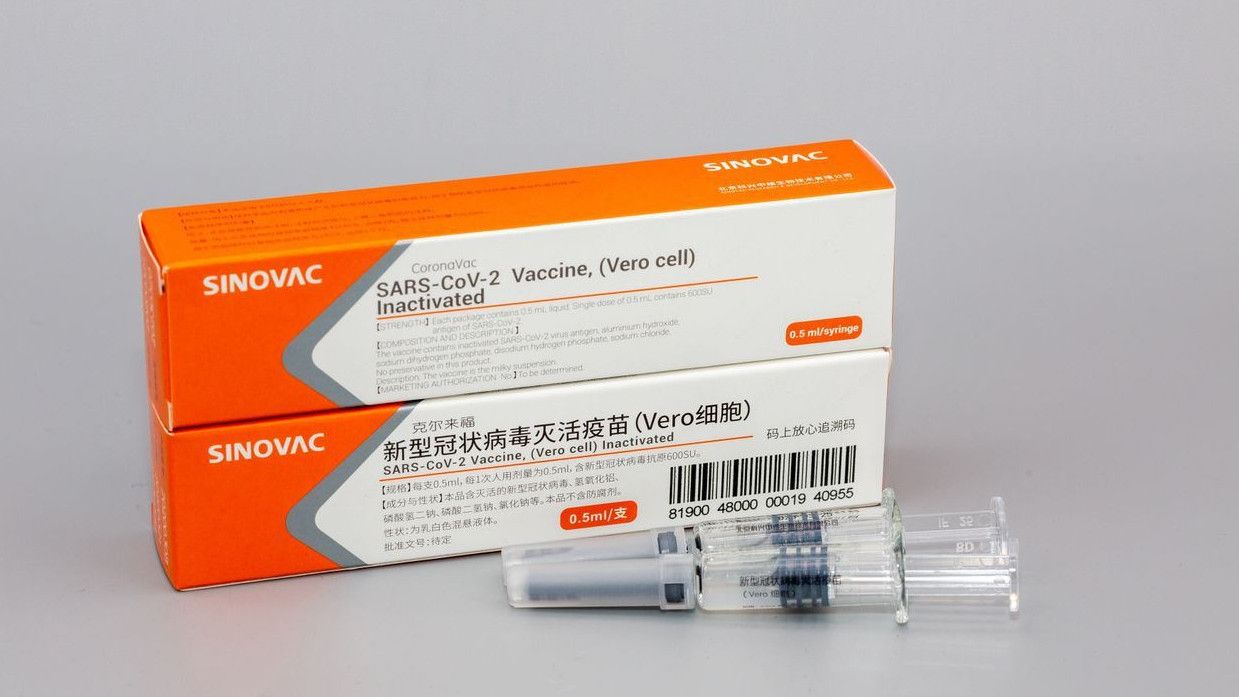 Vaksin COVID-19 Sinovac Tiba di Indonesia, Jokowi: Sebuah Kabar Baik