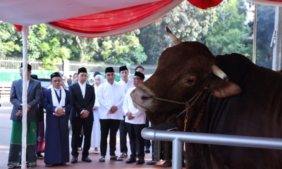 Prabowo Borong 985 Sapi untuk Idul Adha, Peternak Merasa Naik Kelas